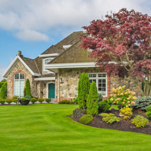 premium lawn care, kansas