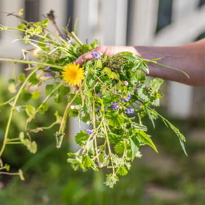 weed control